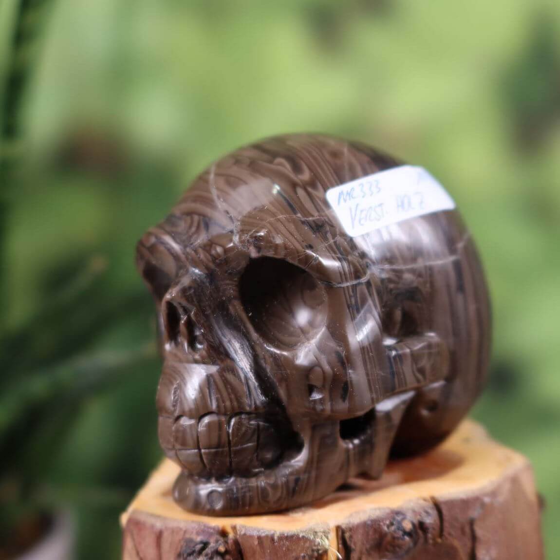 Handcrafted petrified wood crystal skull, unique collector's item, 7x6 cm, showcasing natural mineral and gemstone artistry.
