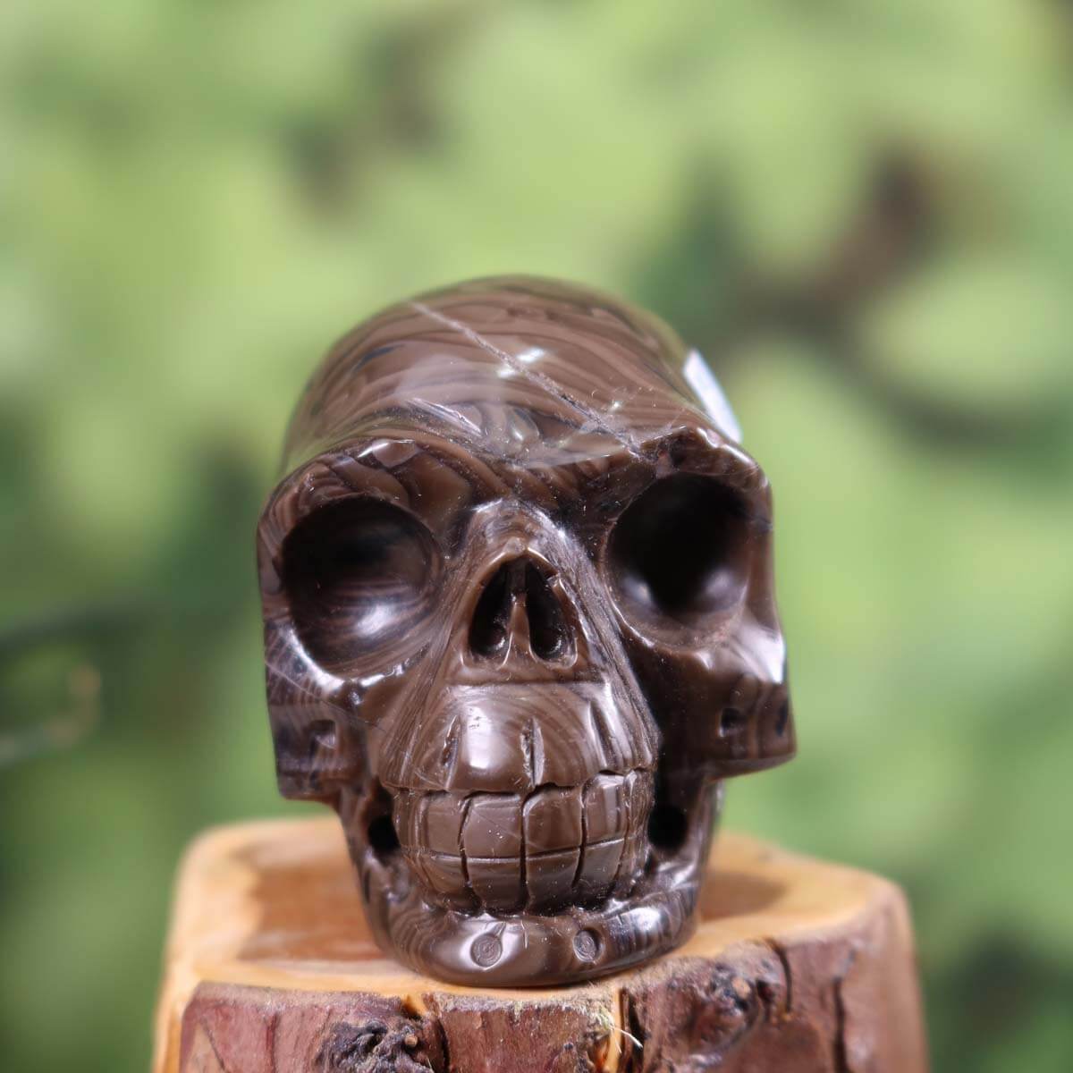 Handcrafted petrified wood crystal skull, unique collector's item, 7x6 cm, showcasing natural mineral and gemstone artistry.