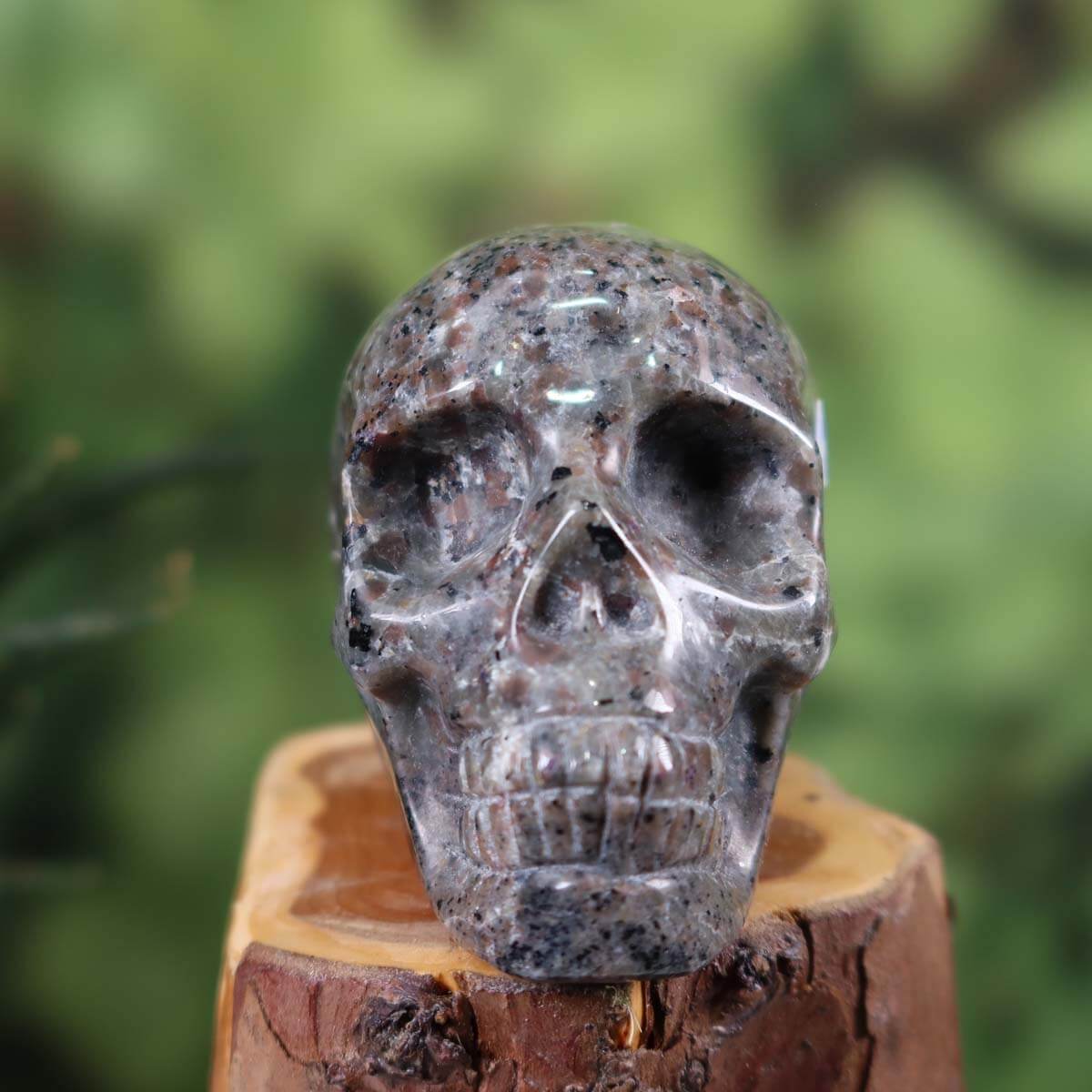 Handcrafted Yooperlite crystal skull, UV light glowing gemstone, collector's item from Graz and Wiener Neustadt, 9x7 cm.