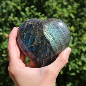 Hand holding a large Labradorite heart stone with iridescent blue and green hues, against a green foliage background.
