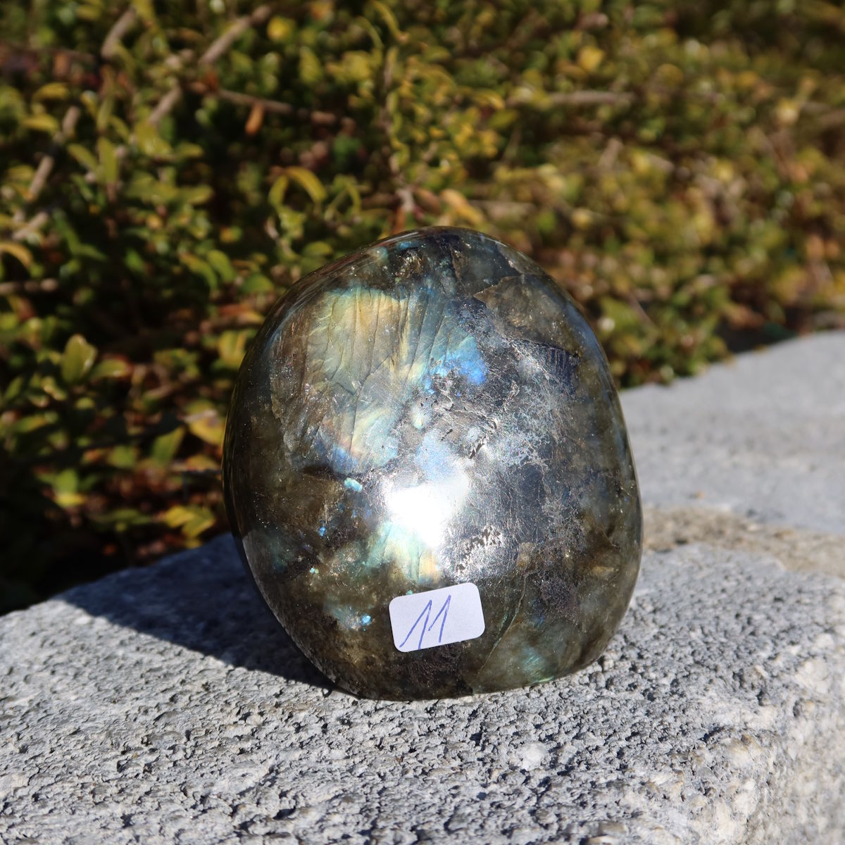 Labradorit Freiform poliert - 7x6cm - Intuition und Kreativität Nr.11 in Hand gehalten mit schimmernden Farben