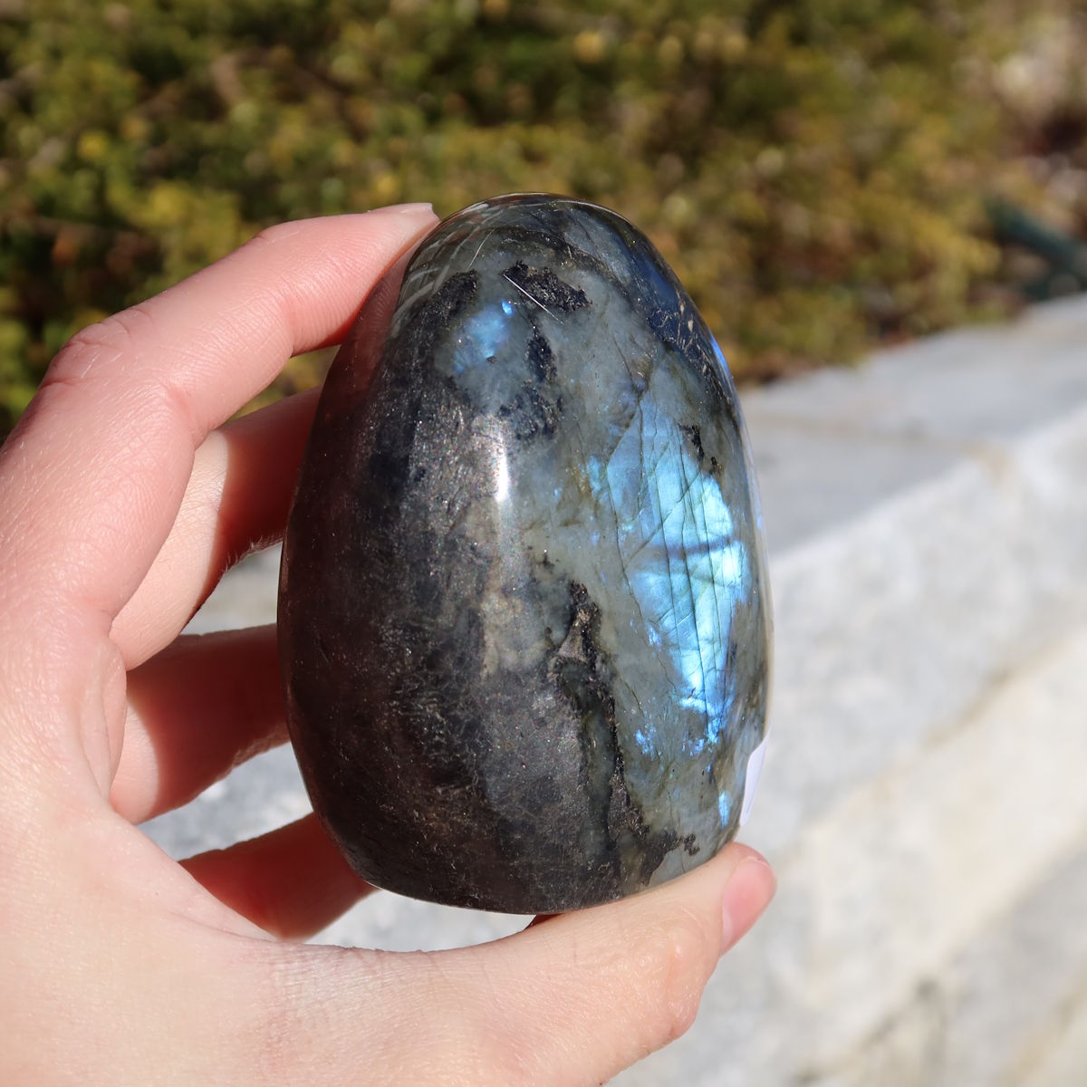 Labradorit Freiform poliert - 7x6cm - Intuition und Kreativität Nr.16 mit faszinierendem Farbspiel im Freien gezeigt