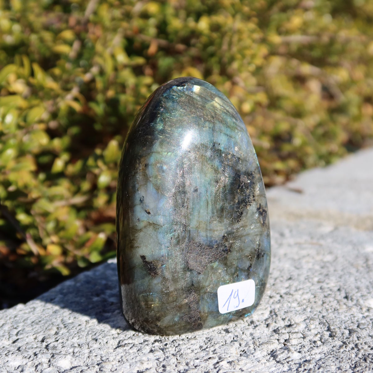 Labradorit Freiform poliert - 8x5cm - Intuition und Kreativität Nr.19 in natürlichem Licht, zeigt schimmernde Blau- und Grüntöne.