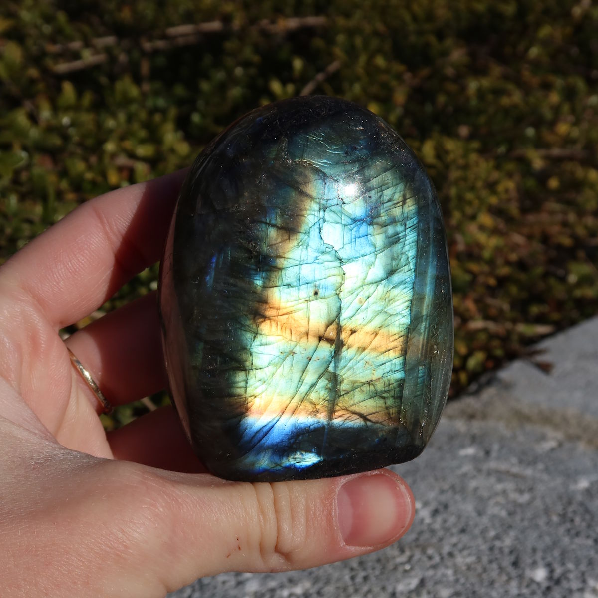 Labradorit Freiform poliert - 6x5cm - Intuition und Kreativität Nr.2 im Sonnenlicht mit schimmernden Blau- und Grüntönen.