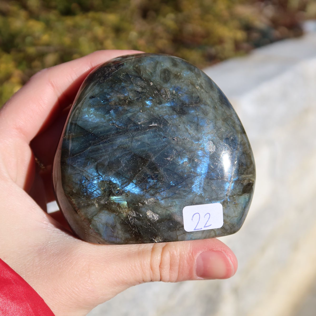 Labradorit Freiform poliert - 7x7cm - Intuition und Kreativität Nr.22 in einer Hand, zeigt blaue und grüne Schimmer.