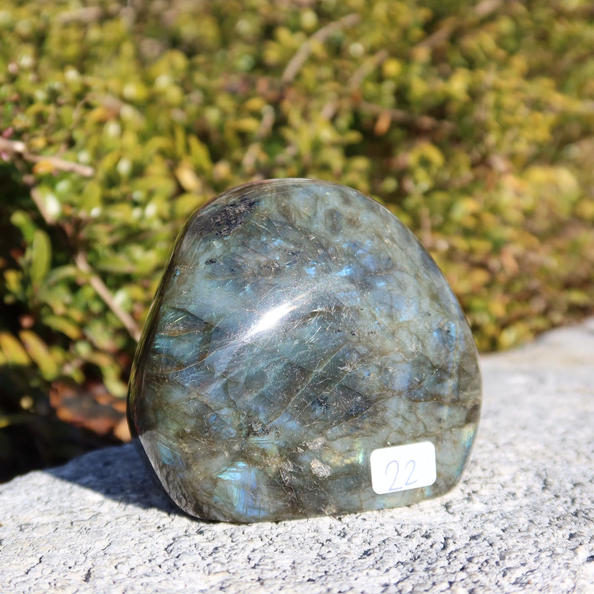 Labradorit Freiform poliert - 7x7cm - Intuition und Kreativität Nr.22 in einer Hand, zeigt blaue und grüne Schimmer.