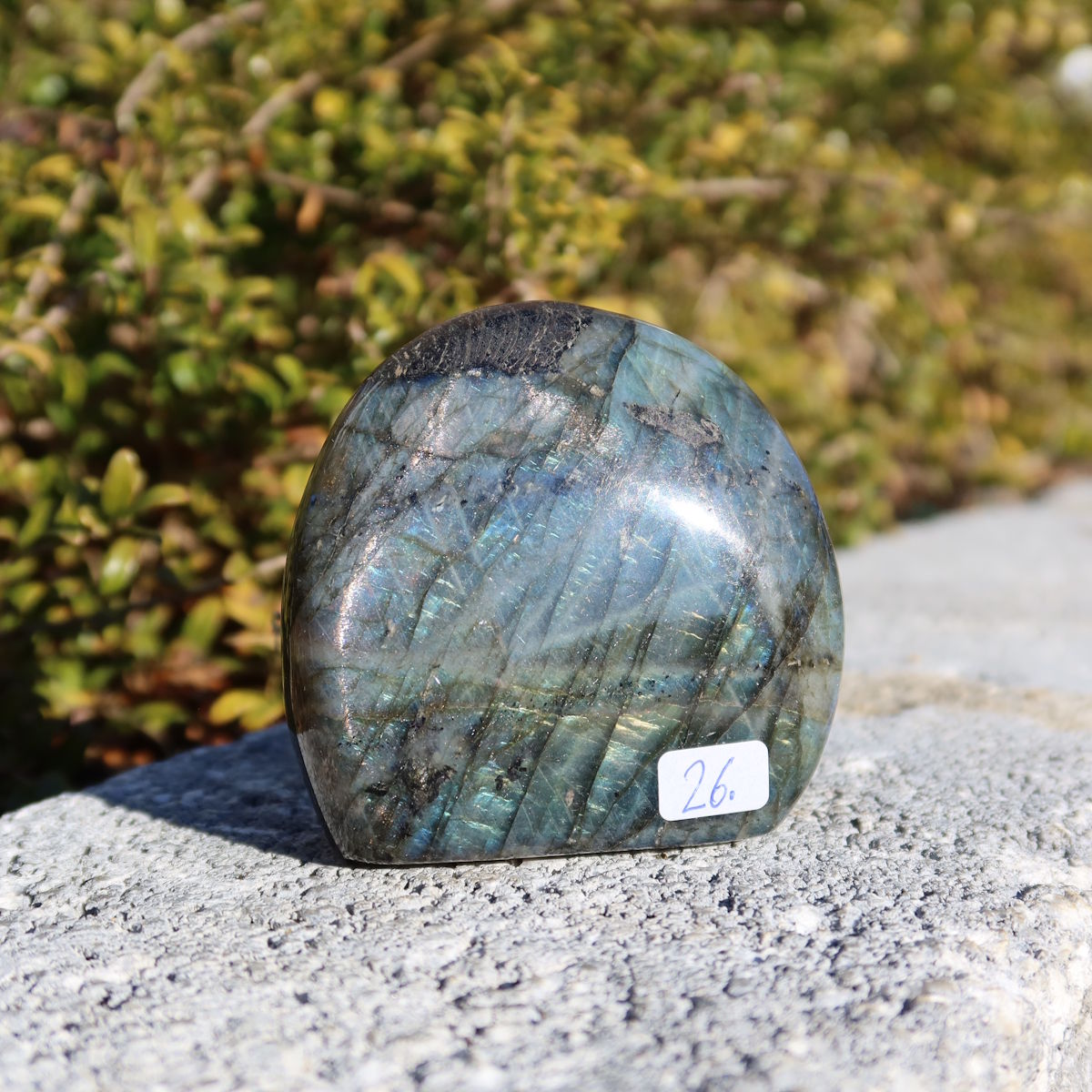 Labradorit Freiform poliert - 7x7cm - Intuition und Kreativität Nr.26 strahlt im Sonnenlicht mit intensivem Farbspiel.