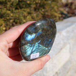 Person holding Labradorit Freiform poliert - 6x6cm - Intuition und Kreativität Nr.28 with vibrant blue and green hues. Unique polished stone.