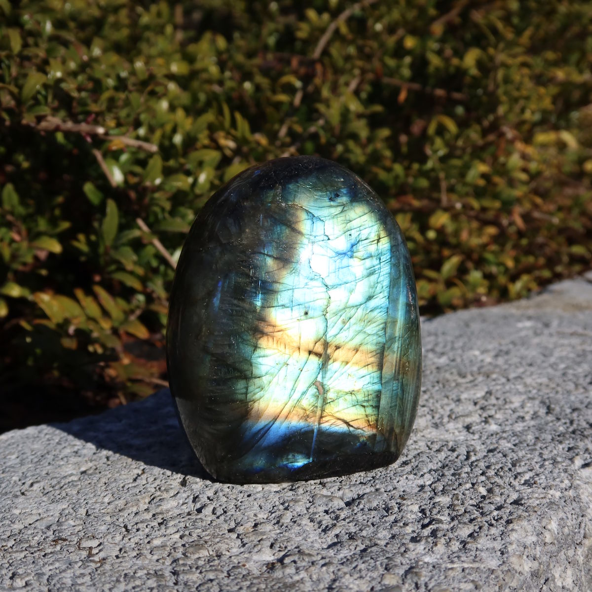 Labradorit Freiform poliert - 6x5cm - Intuition und Kreativität Nr.2 im Sonnenlicht mit schimmernden Blau- und Grüntönen.