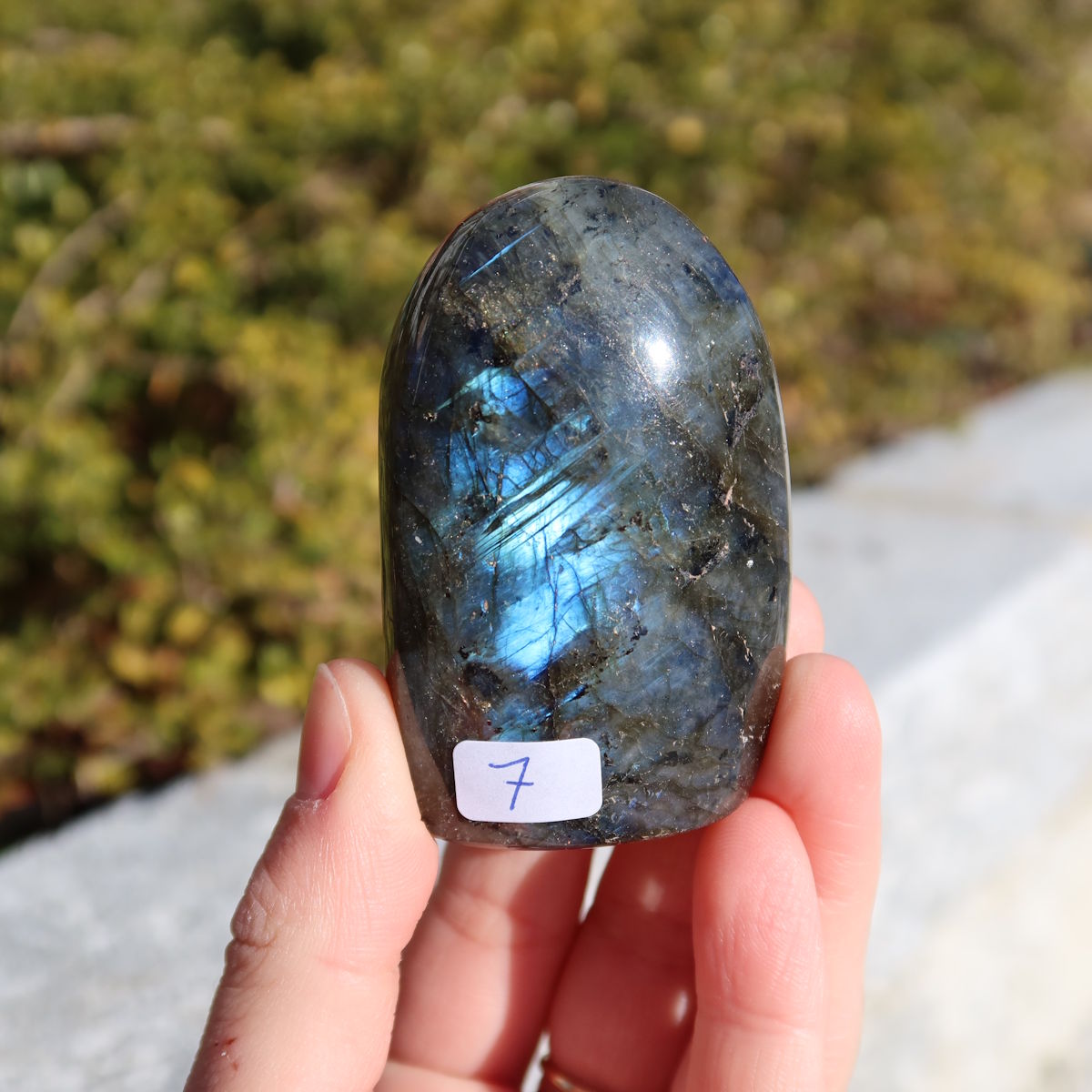 Hand holding Labradorit Freiform poliert - 6x4cm - Intuition und Kreativität Nr.7 with blue light reflections