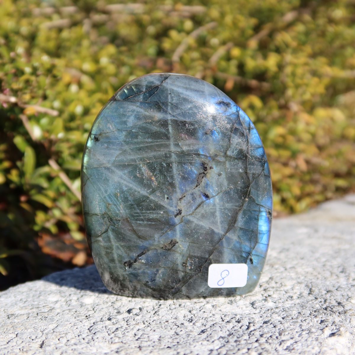 Labradorit Freiform poliert - 8x7cm - Intuition und Kreativität Nr.8 auf Stein im Sonnenlicht, zeigt schimmernde Blau- und Grüntöne.