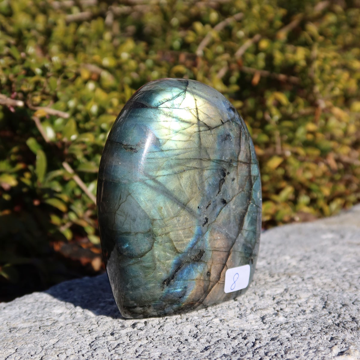 Labradorit Freiform poliert - 8x7cm - Intuition und Kreativität Nr.8 auf Stein im Sonnenlicht, zeigt schimmernde Blau- und Grüntöne.