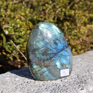 Labradorit Freiform poliert - 7x6cm - Intuition und Kreativität Nr.9, schimmernde Blau- und Grüntöne im Sonnenlicht vor Pflanzen