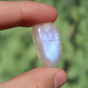 1A Qualität Mondstein weiß gebohrt - Weiblichkeit und Intuition - UNIKAT Nr. 5, glitzernder Mondsteinanhänger im Sonnenlicht