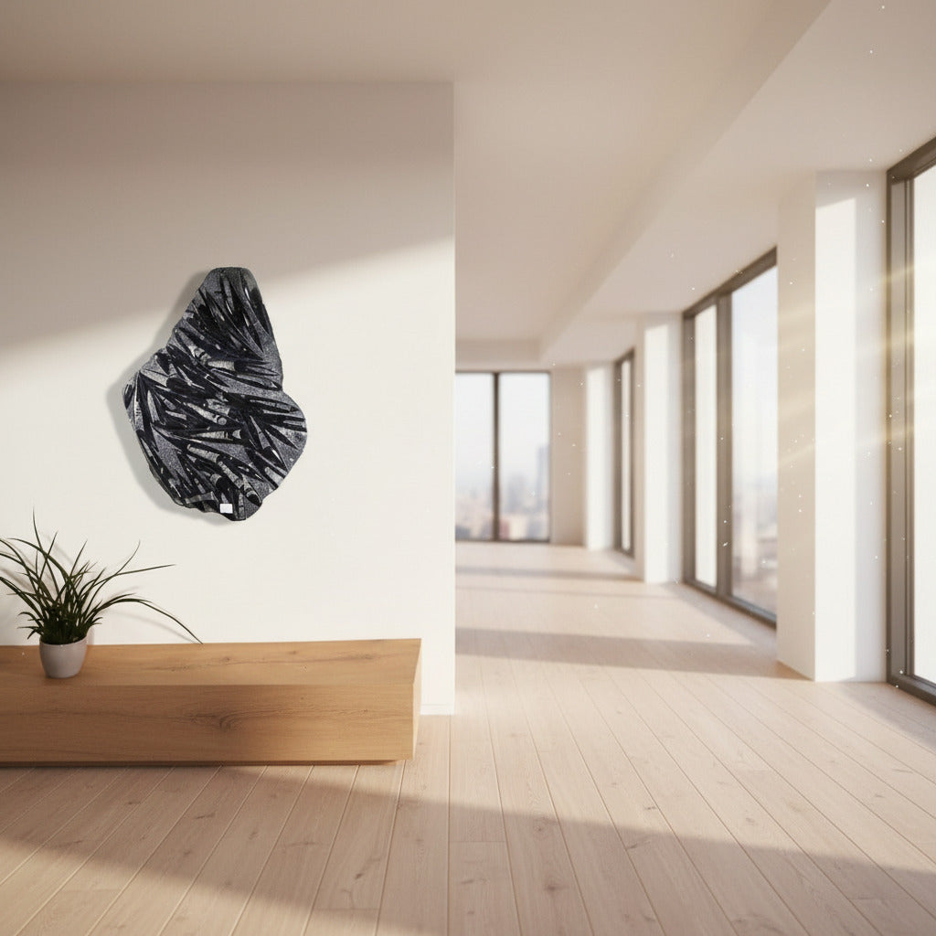 Einzigartige XL Fossile Orthoceras Platte (Tintenfische) - 74x75cm - 280-320 Millionen Jahre - Nr. 29 an einer Wand über einem Sofa