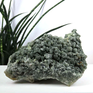 Prehnit 1A Kristall Stufe – aus Marokko 19x9cm - Exklusive Stücke für Sammler und Liebhaber Unikat Nr.42, grün, auf weißem Hintergrund