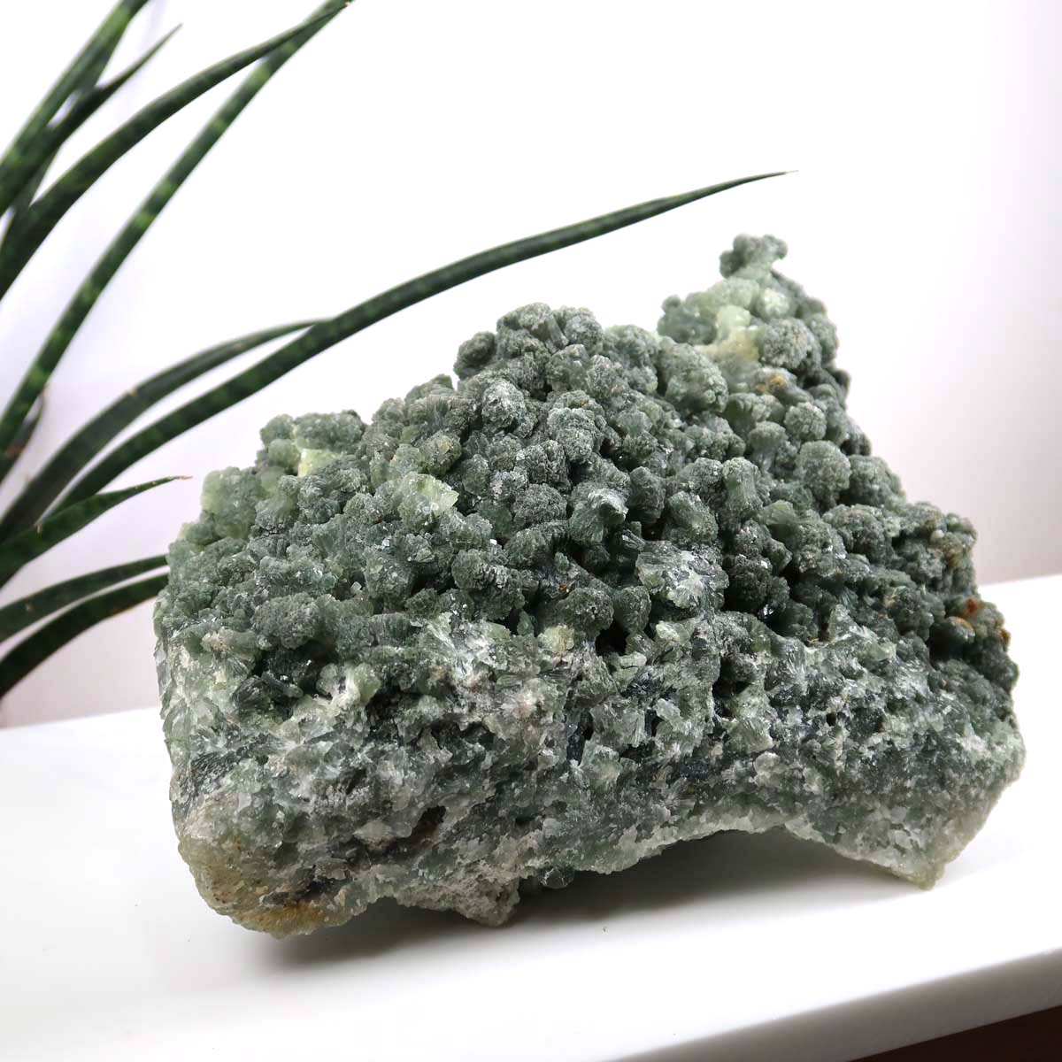 Prehnit 1A Kristall Stufe – aus Marokko 19x9cm - Exklusive Stücke für Sammler und Liebhaber Unikat Nr.42, grün, auf weißem Hintergrund