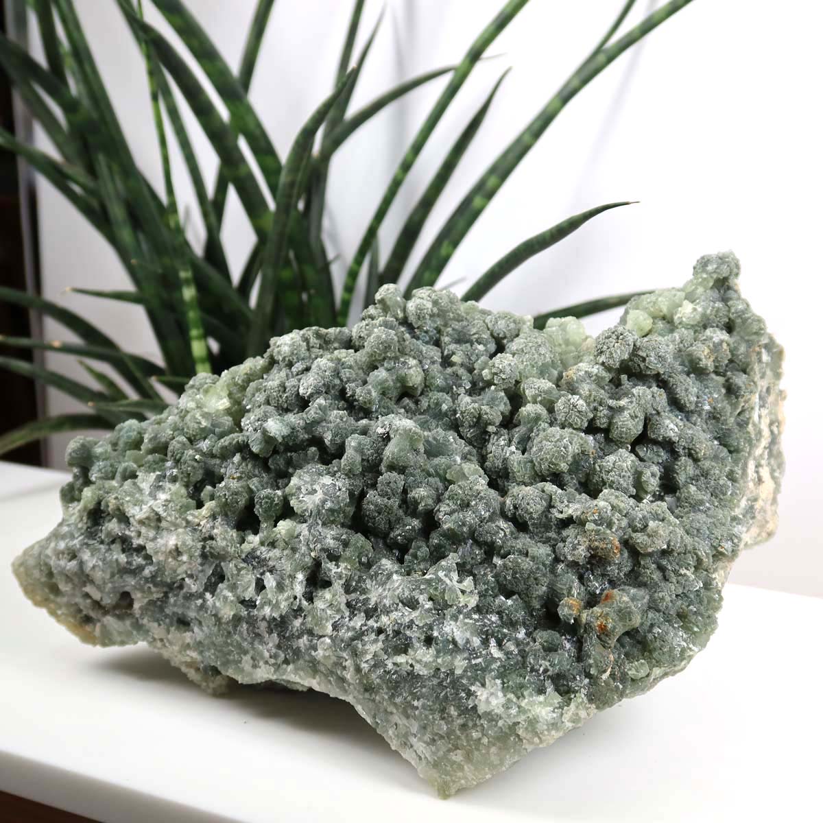 Prehnit 1A Kristall Stufe – aus Marokko 19x9cm - Exklusive Stücke für Sammler und Liebhaber Unikat Nr.42, grüner Prehnit Kristall