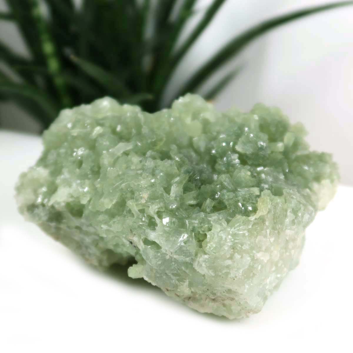 Prehnit 1A Kristall Stufe – aus Marokko 12x5cm - Exklusive Stücke für Sammler und Liebhaber Unikat Nr.44, grüner Prehnit auf weißem Hintergrund