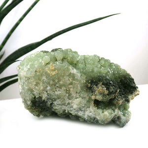 Prehnit 1A Kristall Stufe – aus Marokko 13x9cm - Exklusive Stücke für Sammler und Liebhaber Unikat Nr.46, grünlich, auf weißem Hintergrund