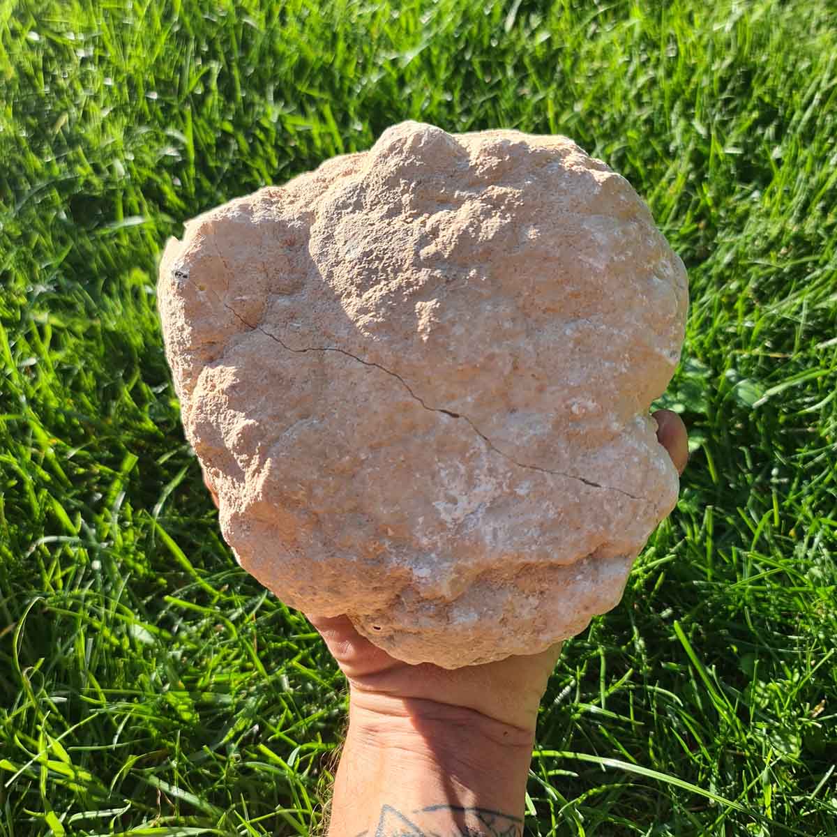 Kristall Quarz geode