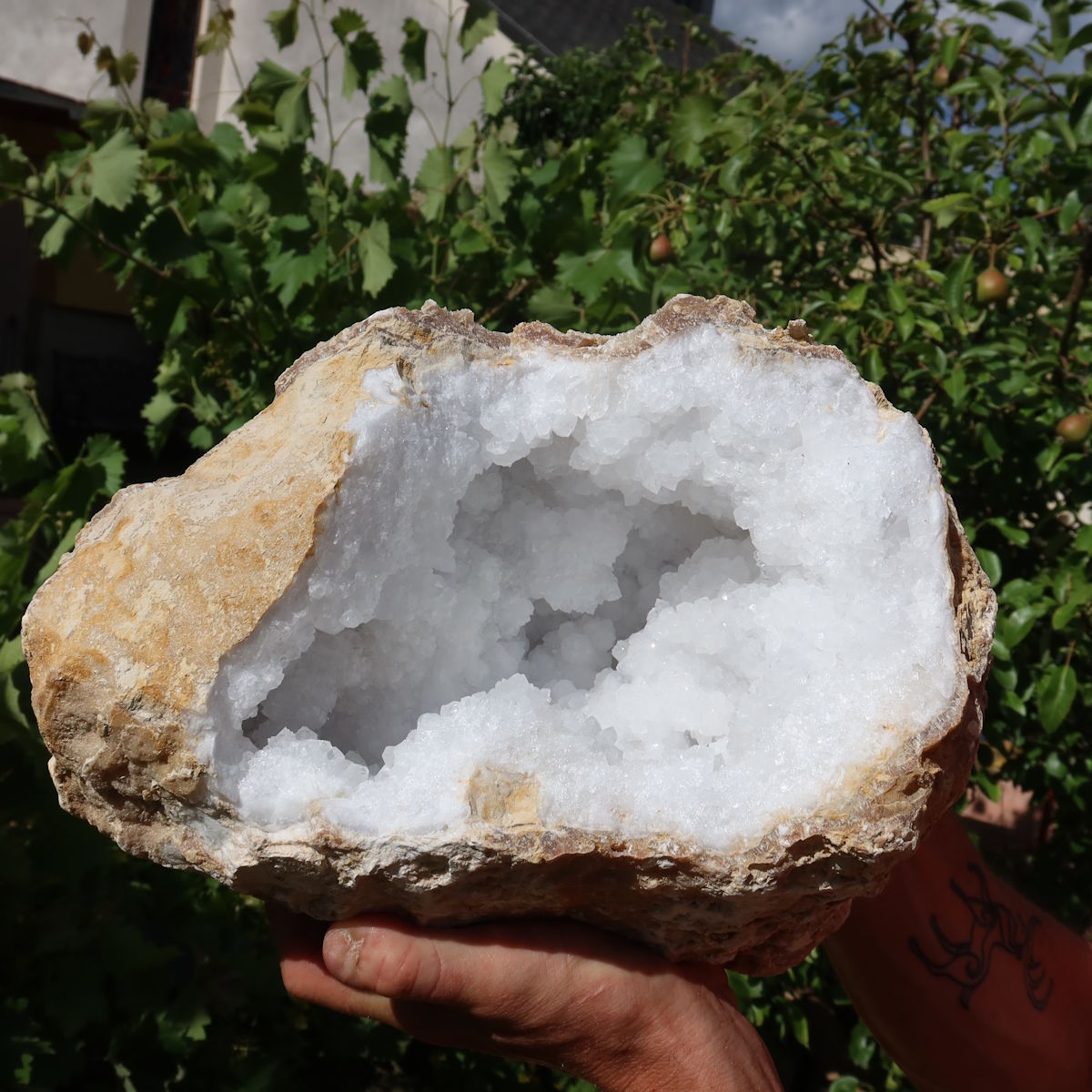 Quarz Geode geöffnet -XXL– Glücksgeode – Stabilität und Klarheit – 30x28x19 cm- Unikat Nr. 11 auf Holztisch