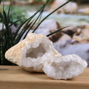 Quarz Geode geöffnet – Glücksgeode – Stabilität und Klarheit – 14x10x10cm - Unikat Nr. 19 auf Holzdisplay vor Pflanzen