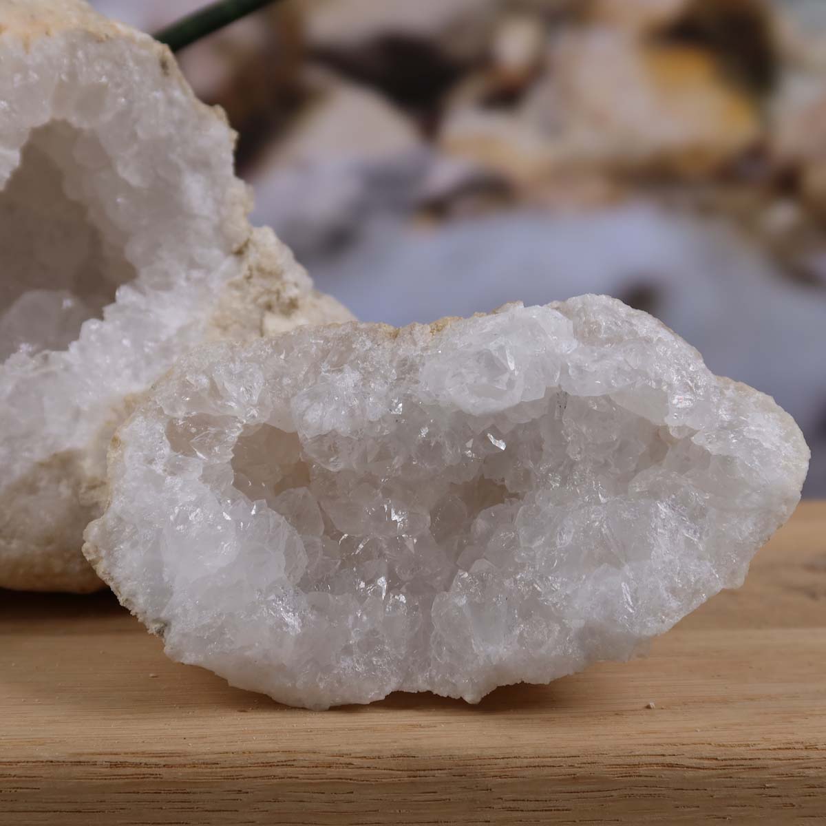 Quarz Geode geöffnet – Glücksgeode – Stabilität und Klarheit – 14x10x10cm - Unikat Nr. 19 auf Holzdisplay vor Pflanzen