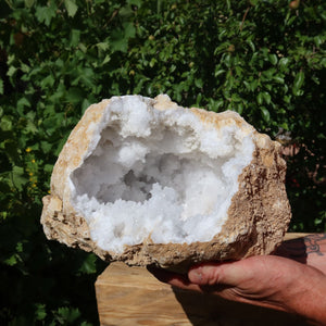 Quarz Geode geöffnet -XXL– Glücksgeode – Stabilität und Klarheit – 30x25x20cm- Unikat Nr. 2 in Hand gehalten vor grünem Hintergrund