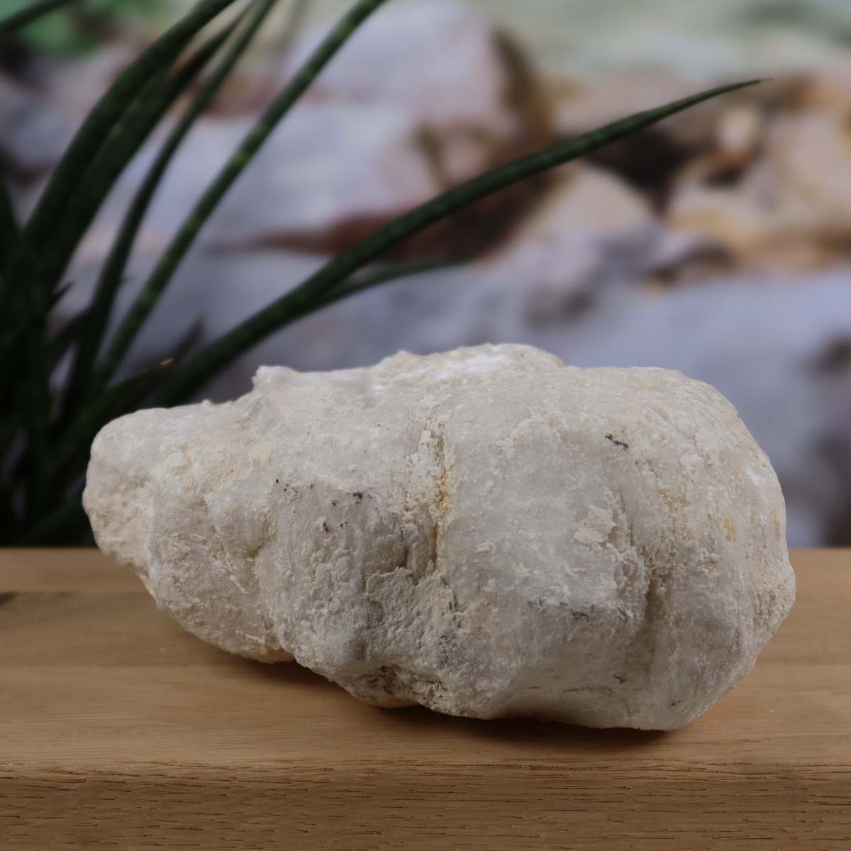 Quarz Geode geöffnet – Glücksgeode – Stabilität und Klarheit – 14x11x6 cm- Unikat Nr. 22 auf einem Holztisch