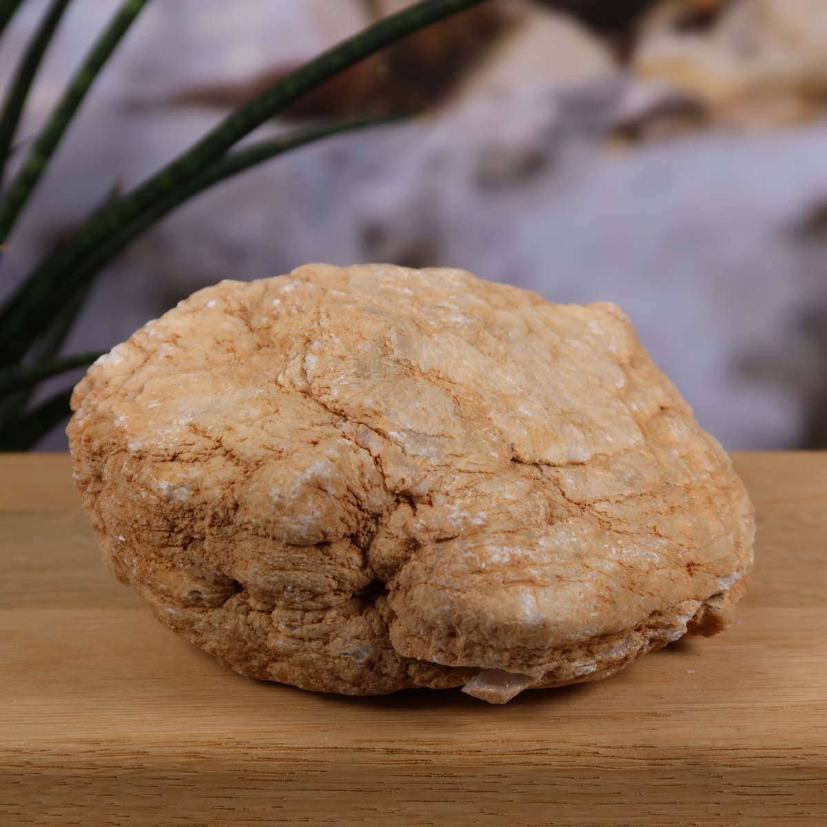 Quarz Geode geöffnet – Glücksgeode – Stabilität und Klarheit – 12x10x5 cm- Unikat Nr. 23 auf Holzuntergrund