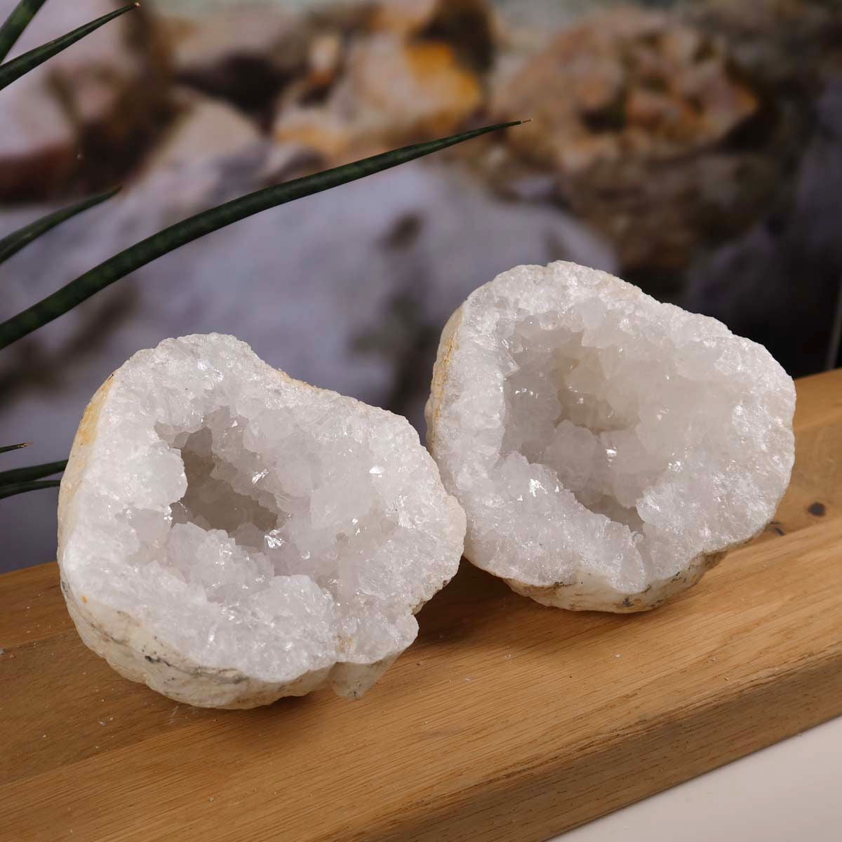 Quarz Geode geöffnet – Glücksgeode – Stabilität und Klarheit – 12x10x8 - Unikat Nr. 27, natürliche weiße Kristalle auf Holzdisplay
