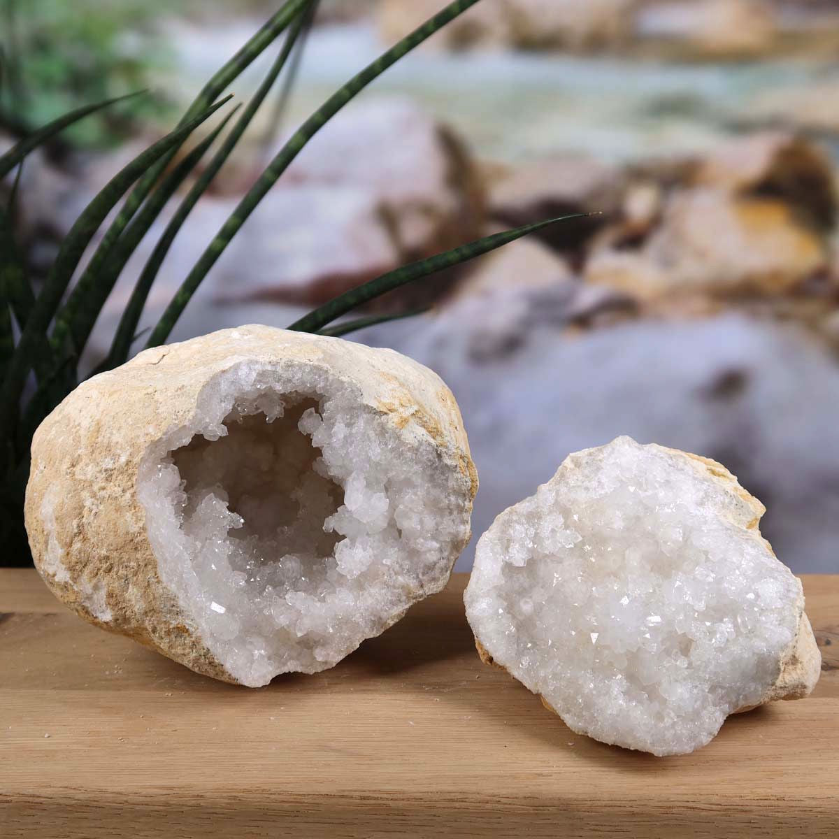 Quarz Geode geöffnet – Glücksgeode – Stabilität und Klarheit – 13x10x8cm - Unikat Nr. 29 auf Holzuntergrund