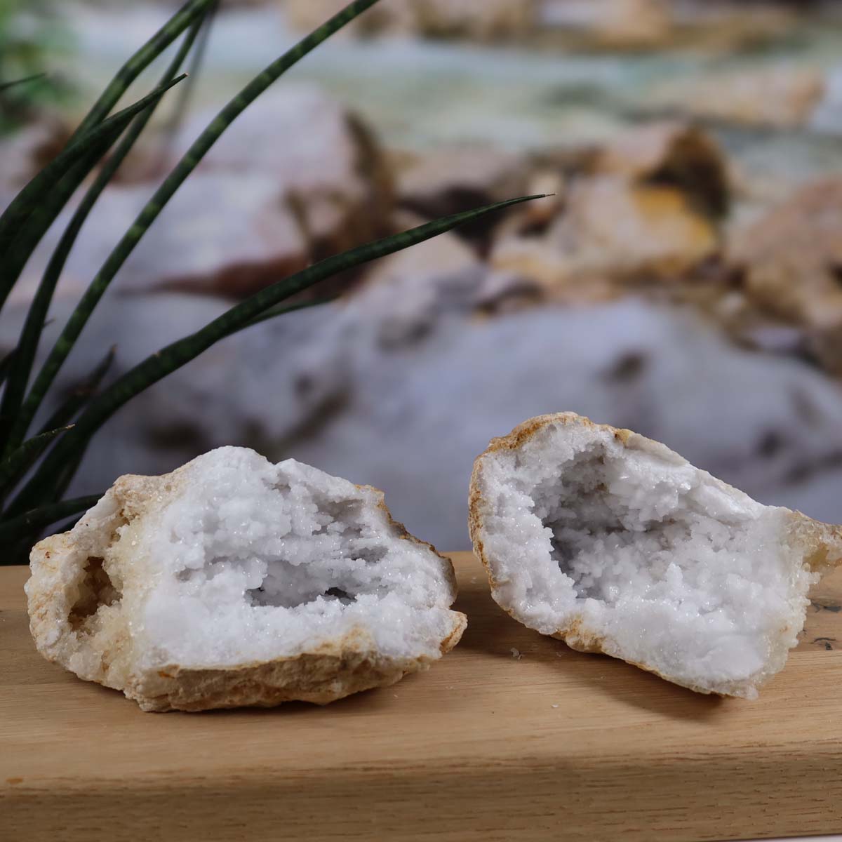 Quarz Geode geöffnet – Glücksgeode – Stabilität und Klarheit – 12x10x6cm - Unikat Nr. 34 auf Holzunterlage