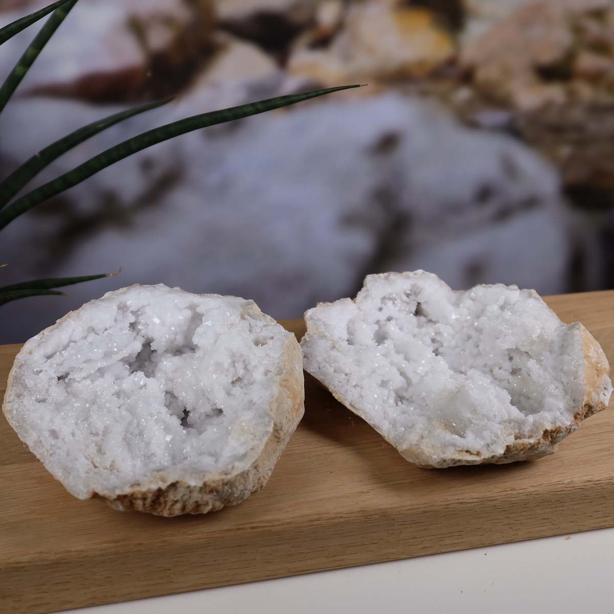 Quarz Geode geöffnet – Glücksgeode – Stabilität und Klarheit – 12x10x5cm - Unikat Nr. 40, natürliche Dekoration auf Holzpräsentation