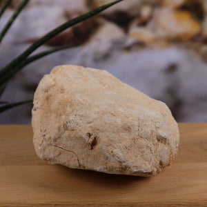 Quarz Geode geöffnet – Glücksgeode – Stabilität und Klarheit – 12x10x5cm - Unikat Nr. 40 auf Holzuntergrund