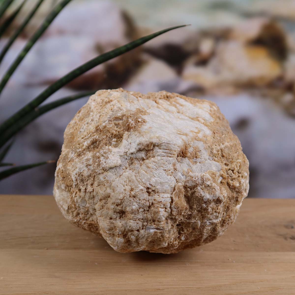 Quarz Geode geöffnet – Glücksgeode – Stabilität und Klarheit – 10x11x8cm - Unikat Nr. 42, einzigartiges Naturprodukt aus Marokko