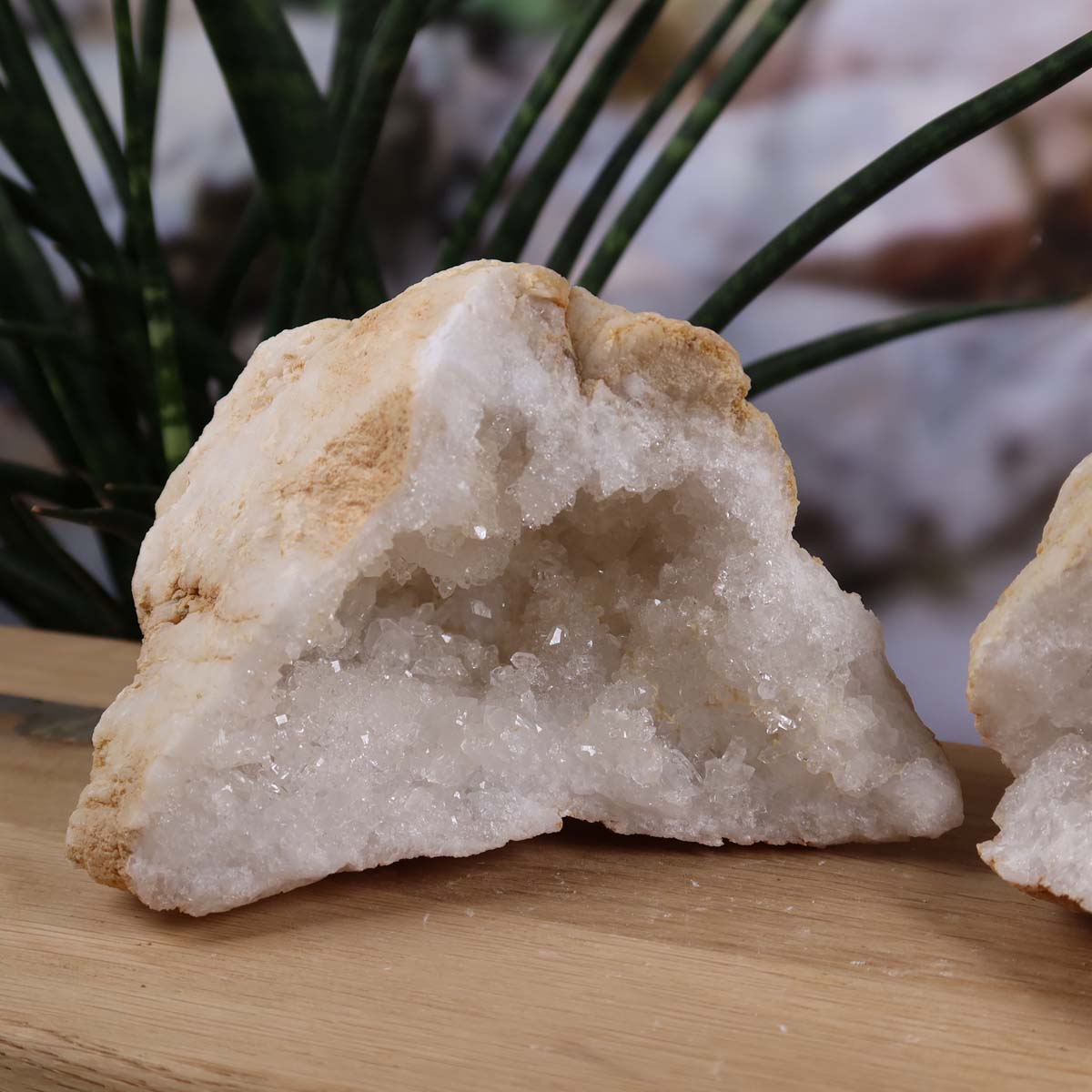 Offene Quarz Geode auf Holztisch – Unikat Nr. 45 – Stabilität und Klarheit – Harmonie für den Wohnraum