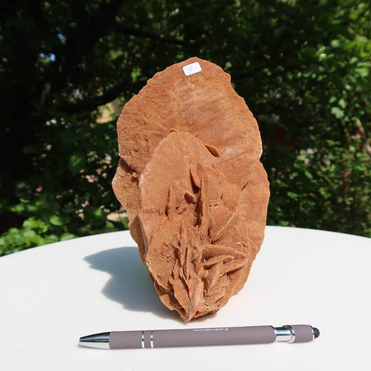 Person holding a large, intricate Moroccan sand rose against a green leafy background.