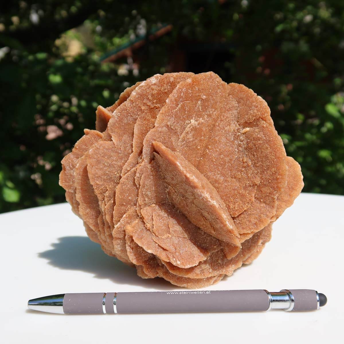 Hand holding a unique Moroccan sand rose crystal in natural light, showing its intricate rosette formation and sandy color.