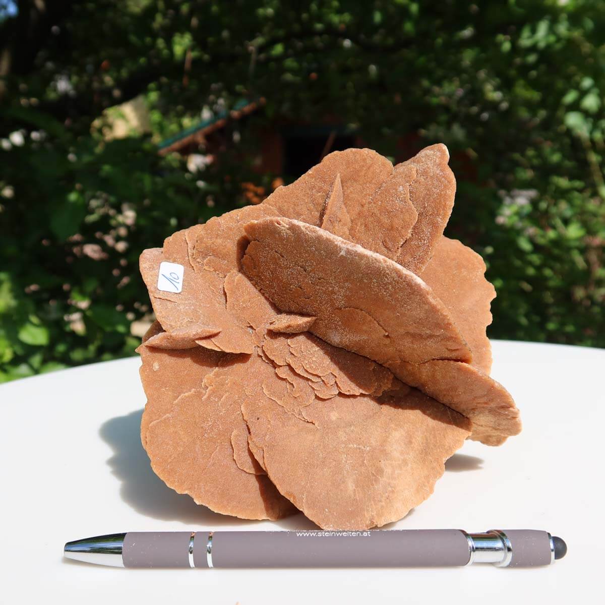 Hand holding a Sandrose crystal against a green foliage backdrop.