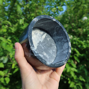 Orthoceras Schatulle rund groß - cm - Fossilgestein - Nr. 16 in Hand mit natürlichem Hintergrund