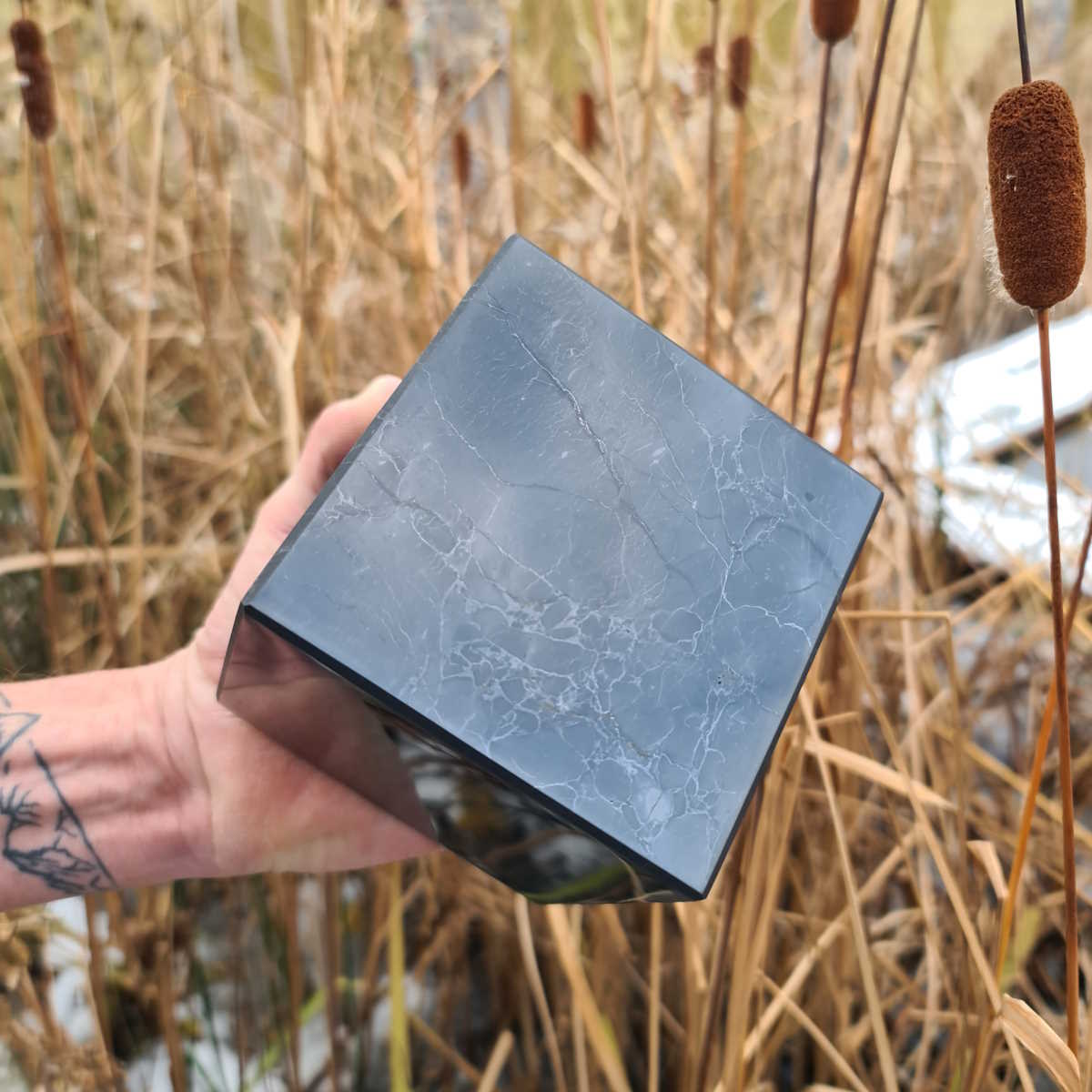 Schungit Würfel Steinwelten 