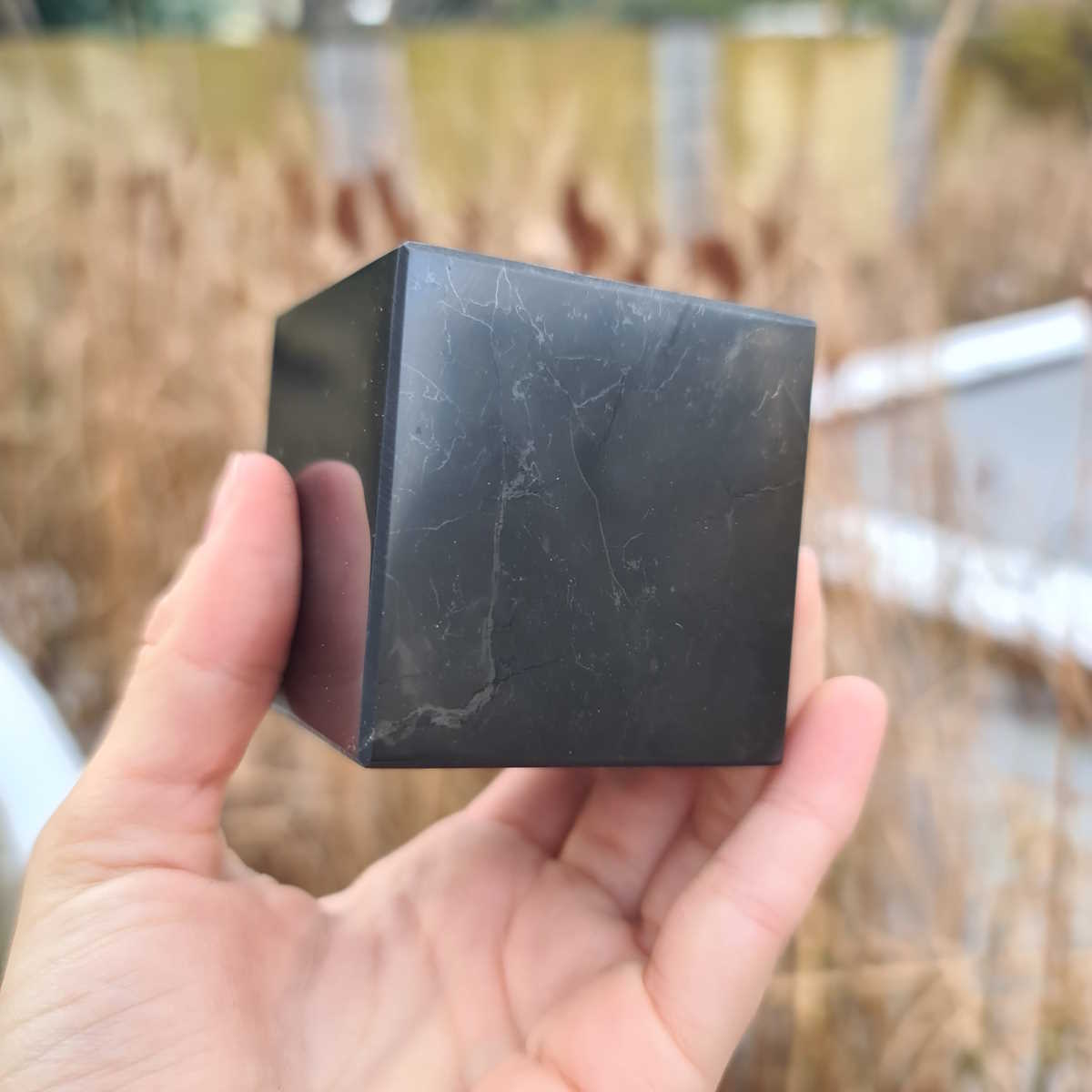 Schungit Würfel Steinwelten 