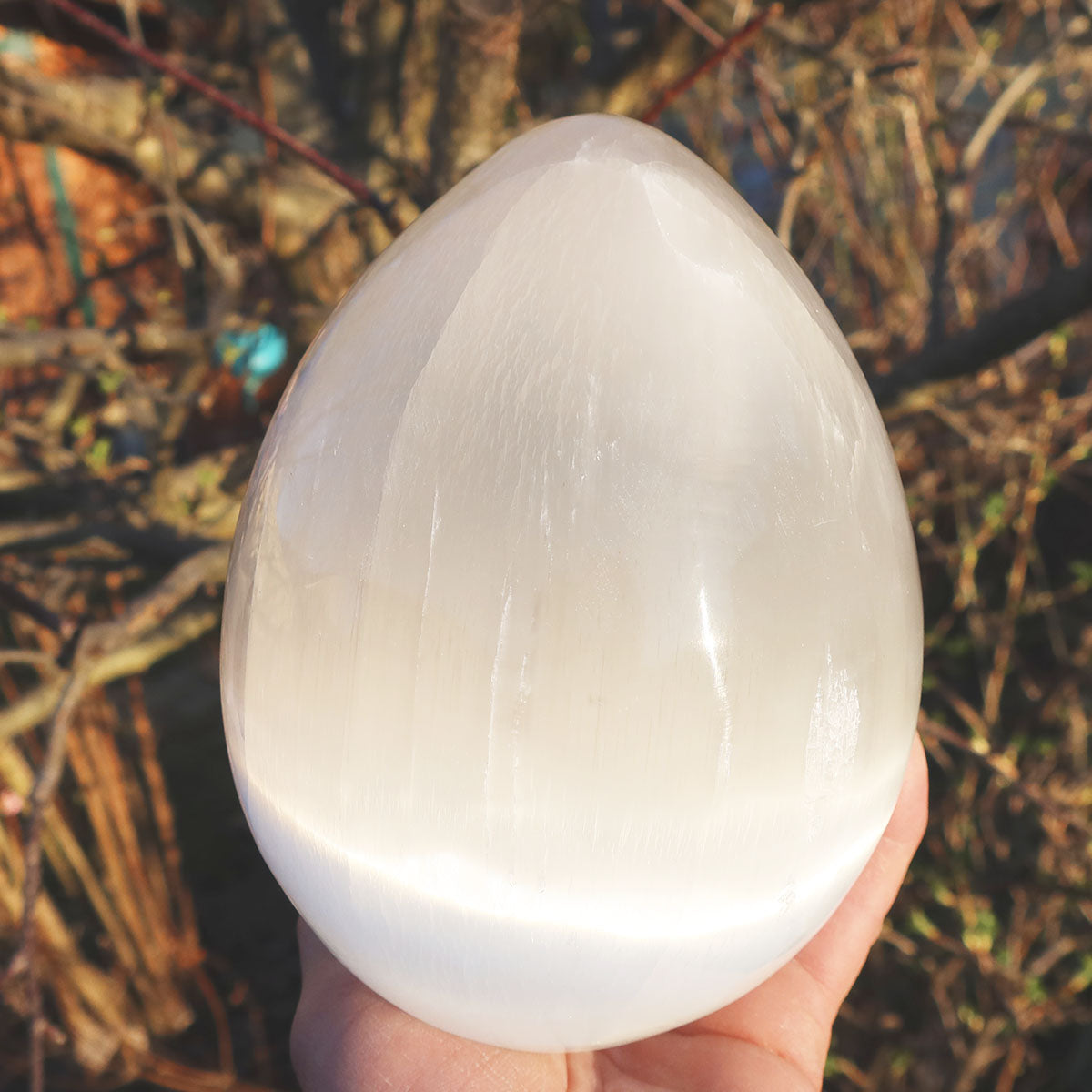 XL - Natürliches geschliffenes Selenit Ei - 16x12cm - 3kg - Lichtbringer und Schutzstein, stabilisierender Edelstein im Sonnenlicht