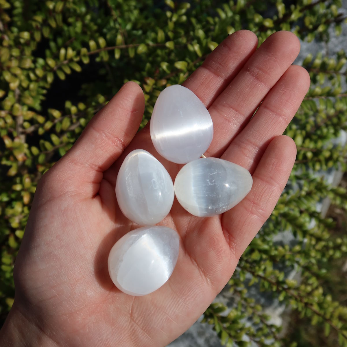 Natürliches geschliffenes Selenit Ei 30mm (Marienglas, Gips) - Lichtbringer und Schutzstein, vier Eier in einer Hand