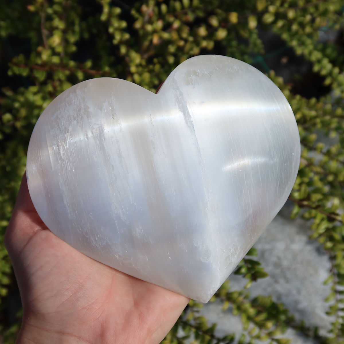 Selenit Herz XL (13-14cm) - Schutzstein für Stabilität und Nervenstärkung, großer Herzstein aus Selenit in der Hand gehalten im Freien.