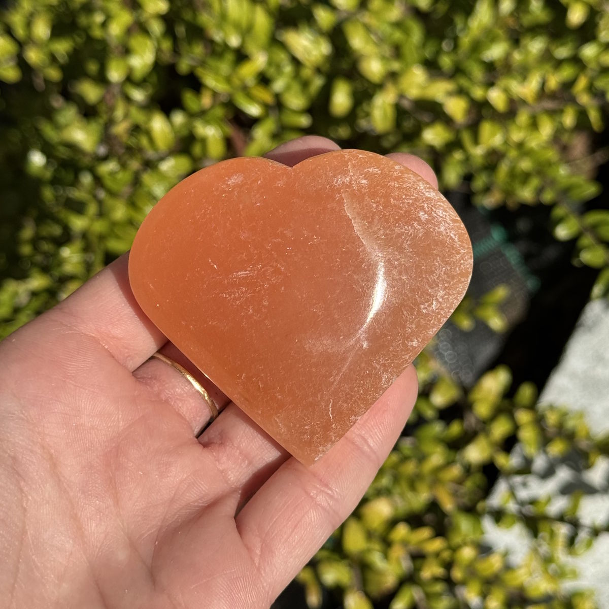 Selenit Herz Orange - Handschmeichler - 6cm - Schutzstein für Stabilität und Nervenstärkung im Sonnenlicht gehalten