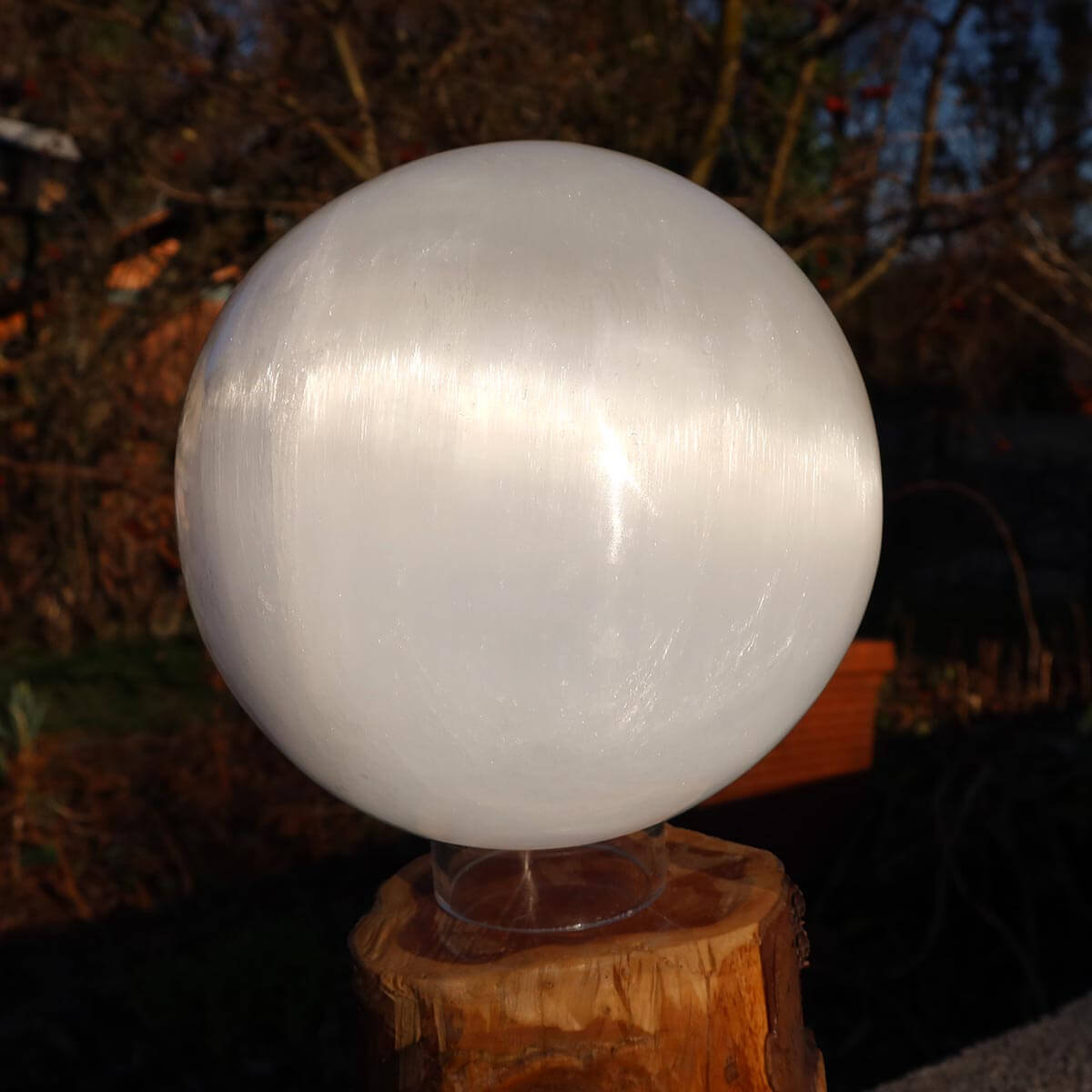 Natürliche Selenit Kristall Kugel 14cm, 3kg auf Holzstamm, Lichtbringer und Schutzstein, erhältlich online bei Steinwelten in Graz und Wiener Neustadt.
