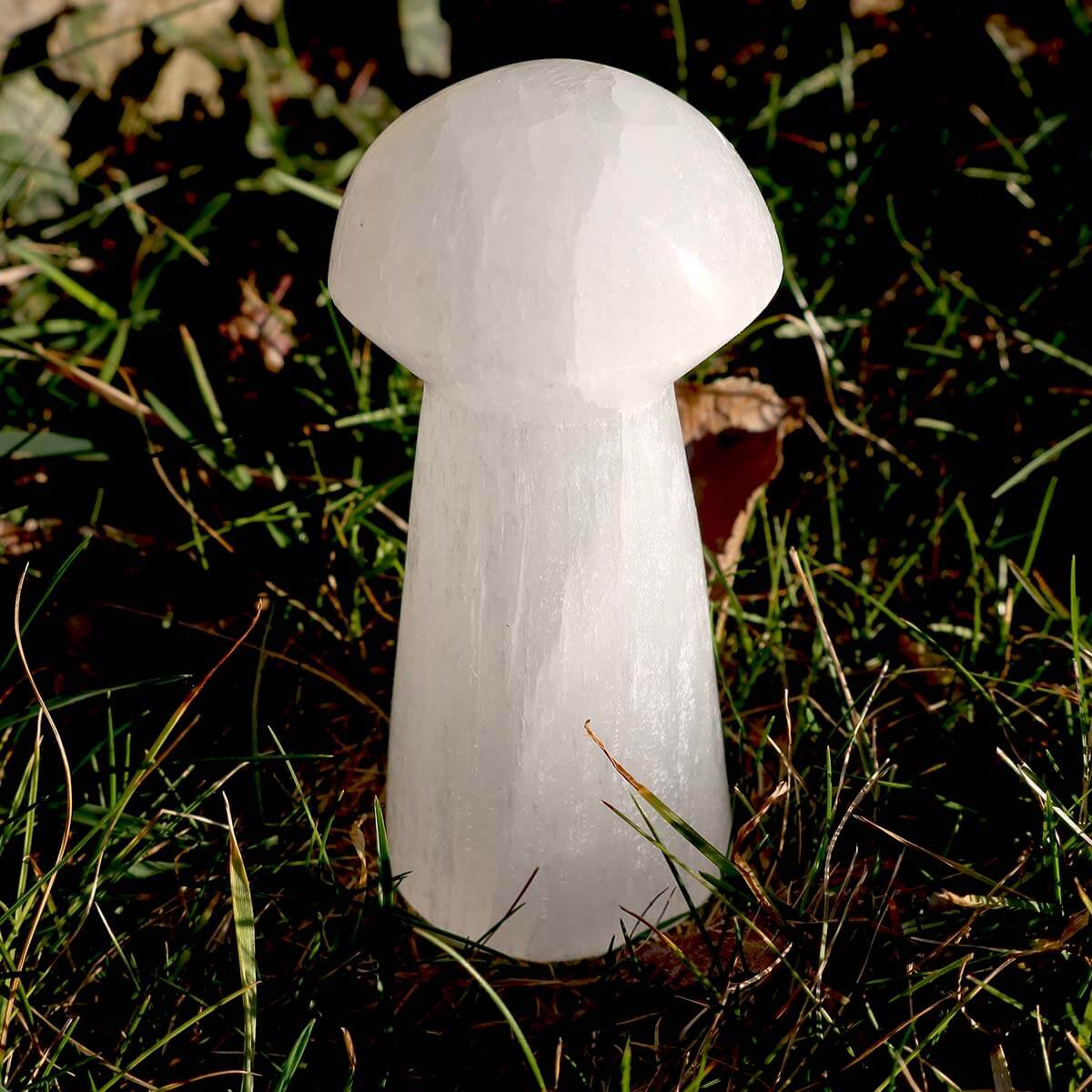Selenit Glücks Pilz ca. 8 cm höhe - für Stabilität und Gefühl der Kontrolle zu bewahren, schützender Edelstein auf Steinboden.